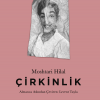 Çirkinlik